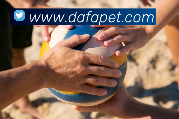 App Interface Preview