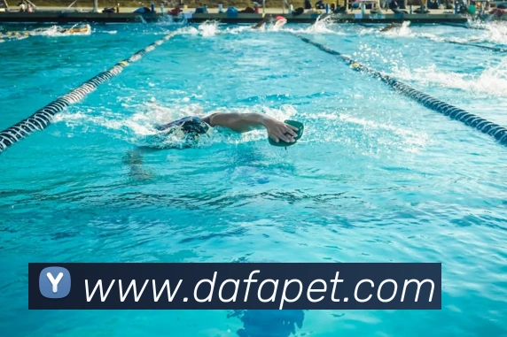 大发彩票官网APP 封面图